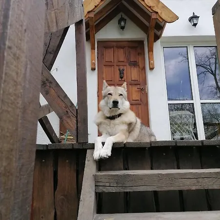 Leszczynowy Sad - Domek Z Kominkiem I Ogrodem Holiday home *