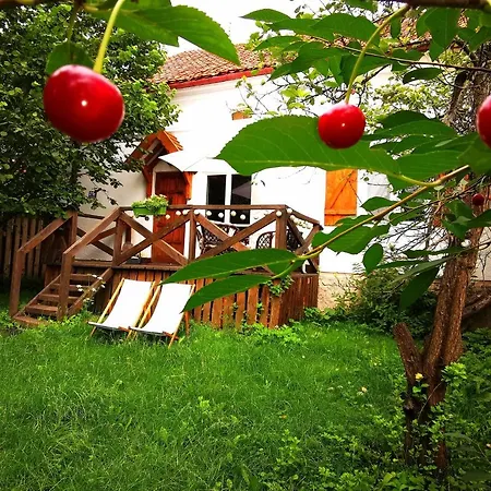 Holiday home Leszczynowy Sad - Domek Z Kominkiem I Ogrodem *